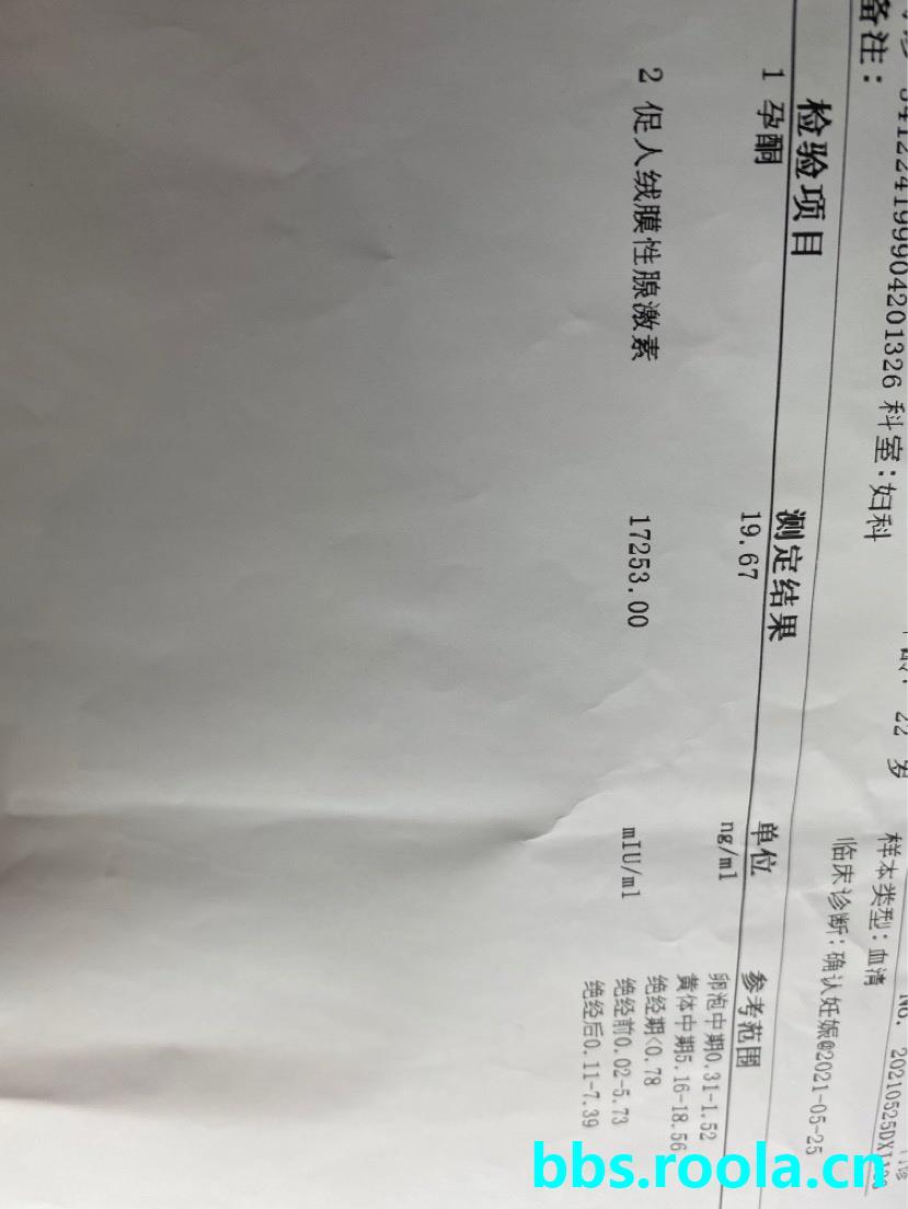 5095.jpg