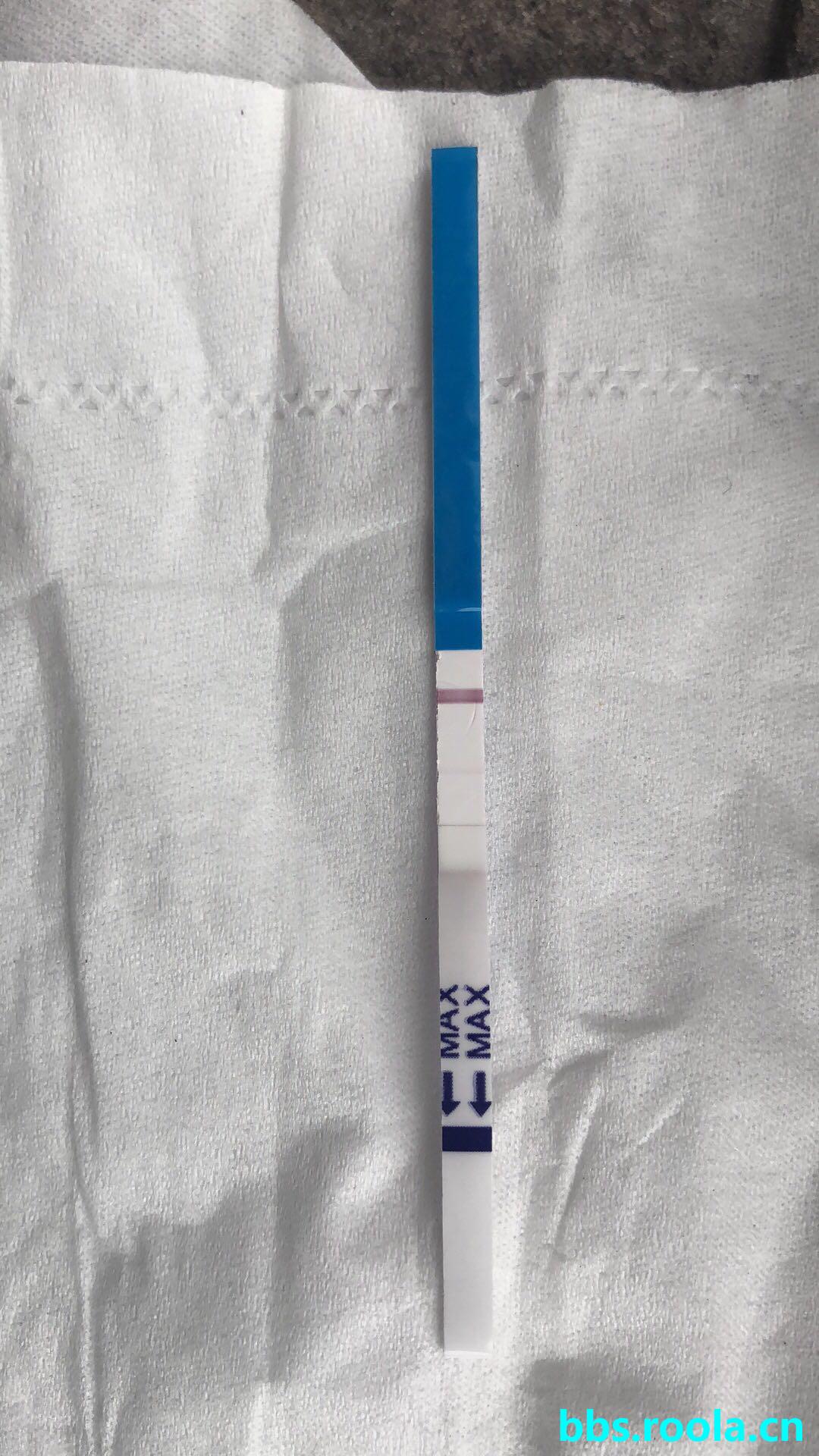 4881.jpg