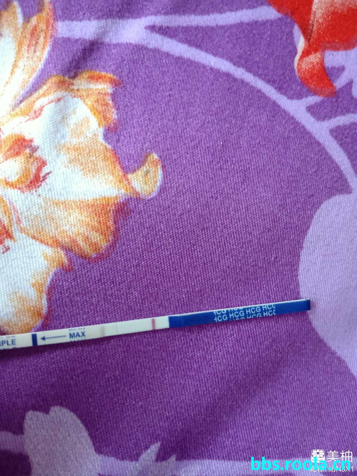 5358.jpg