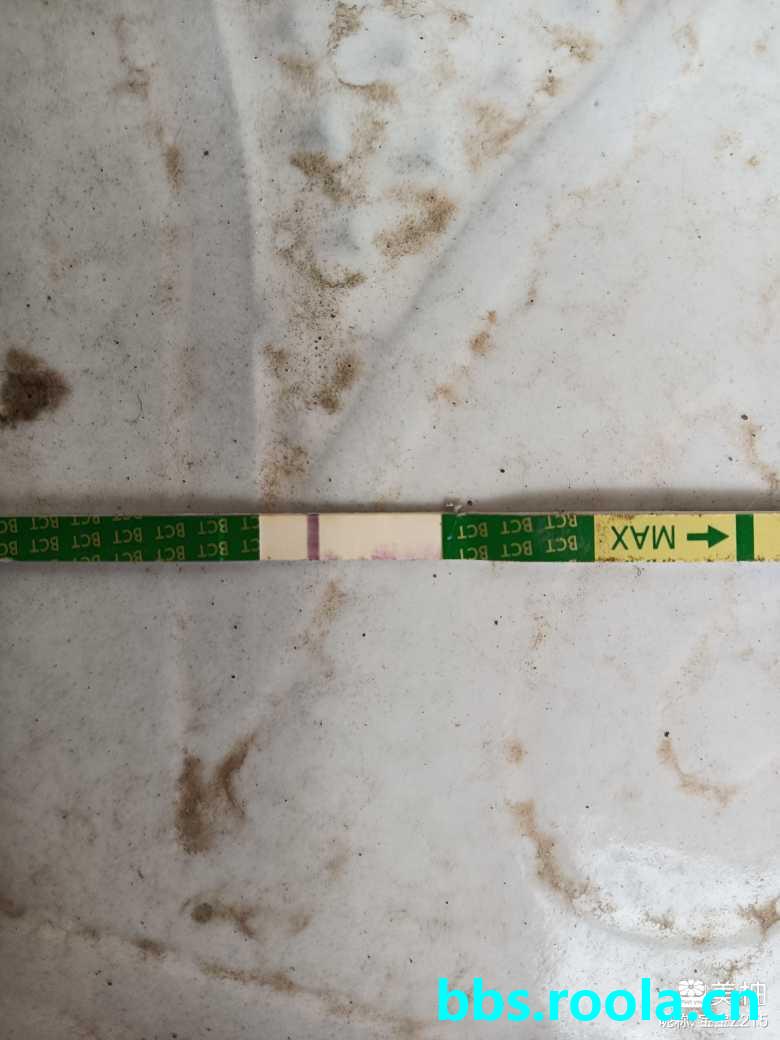 5394.jpg
