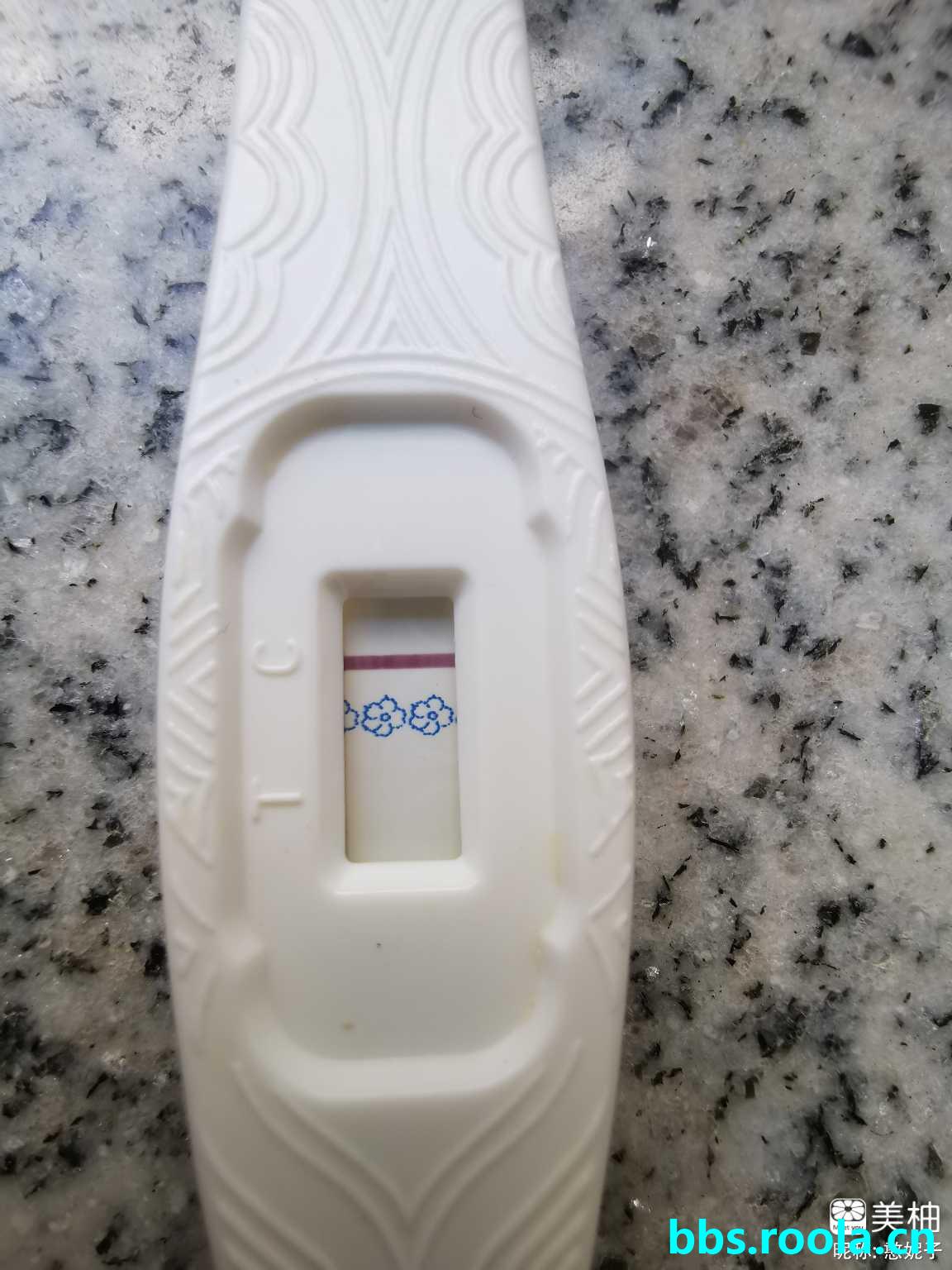 5548.jpg