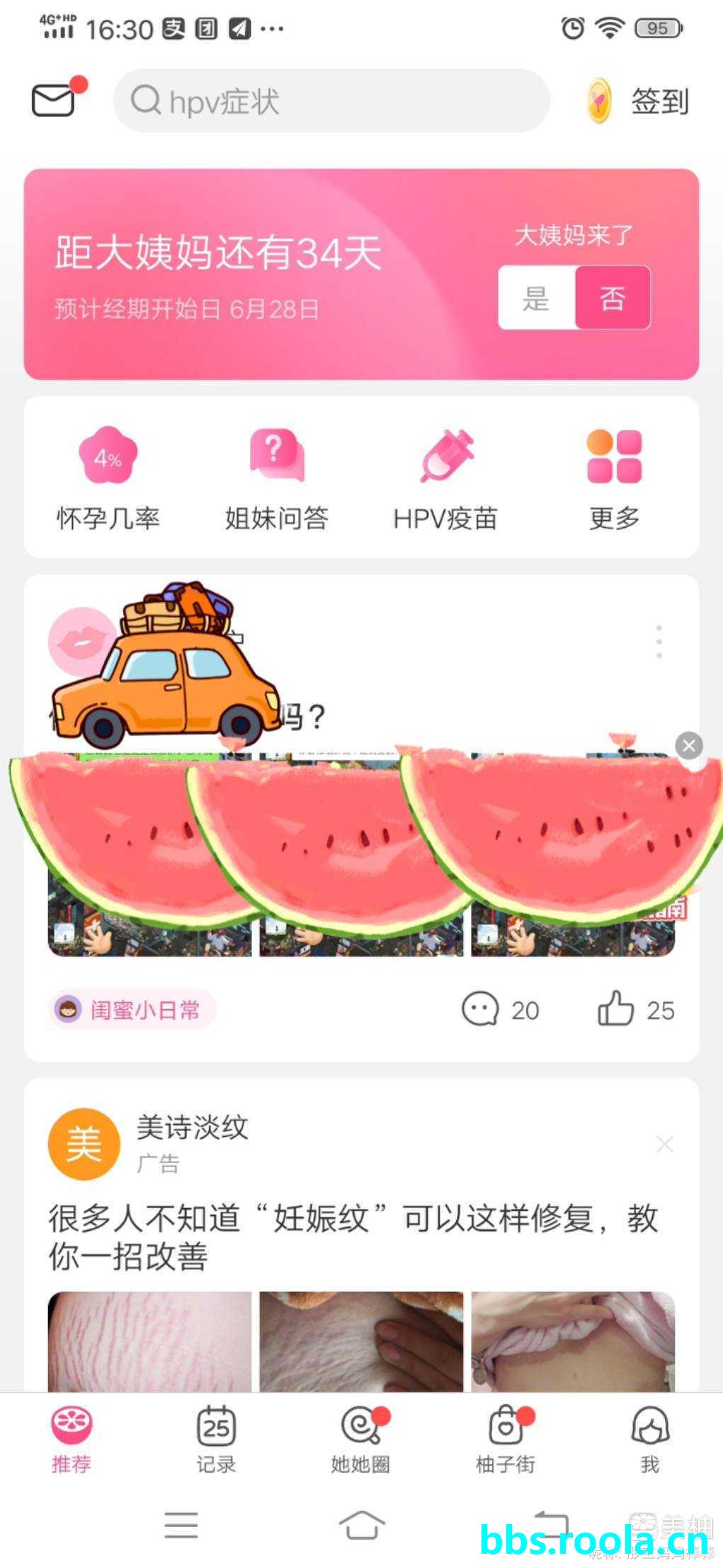6732.jpg