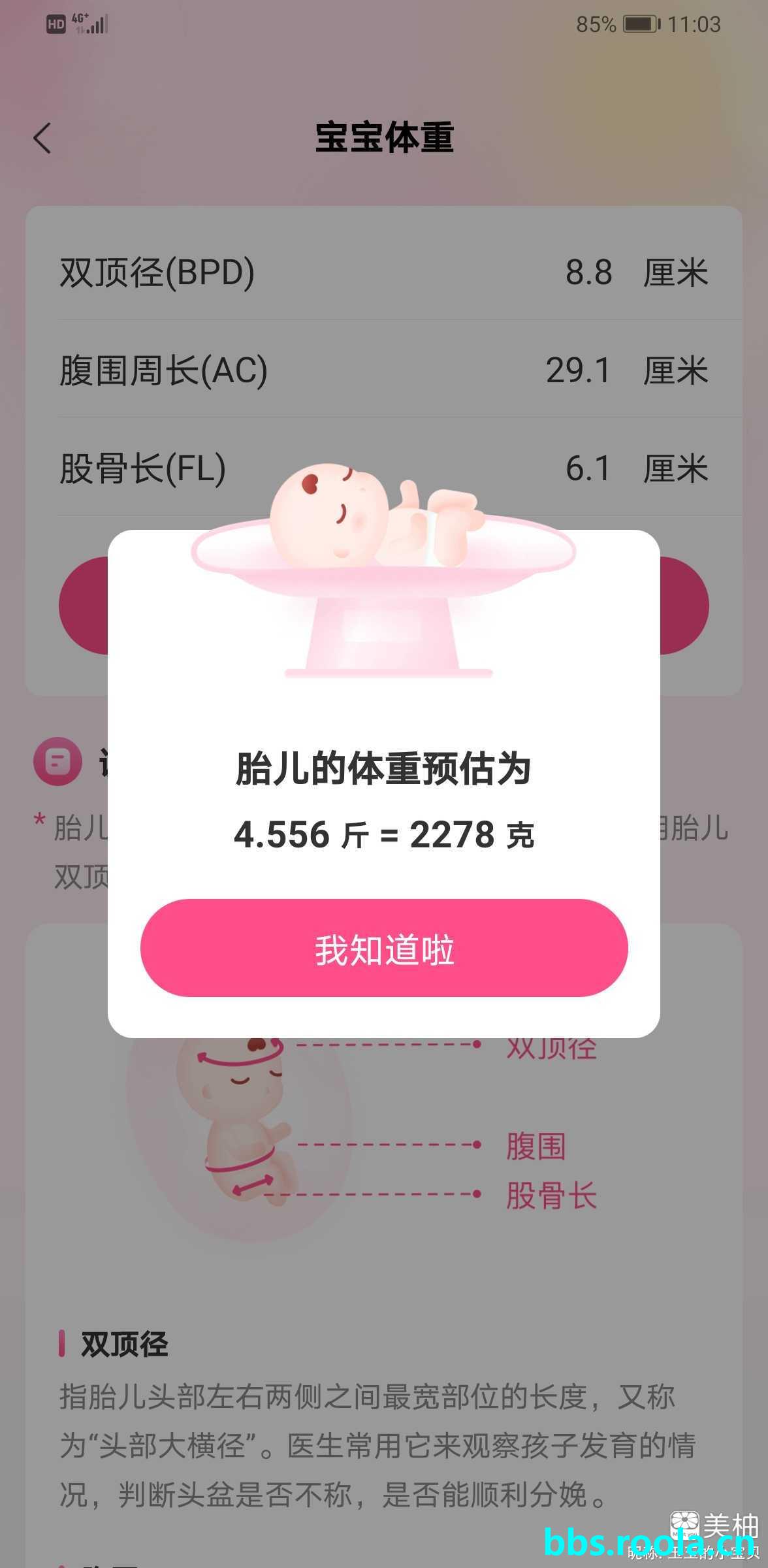 7282.jpg