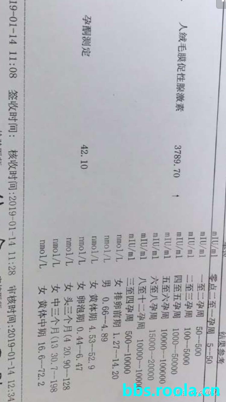 7084.jpg