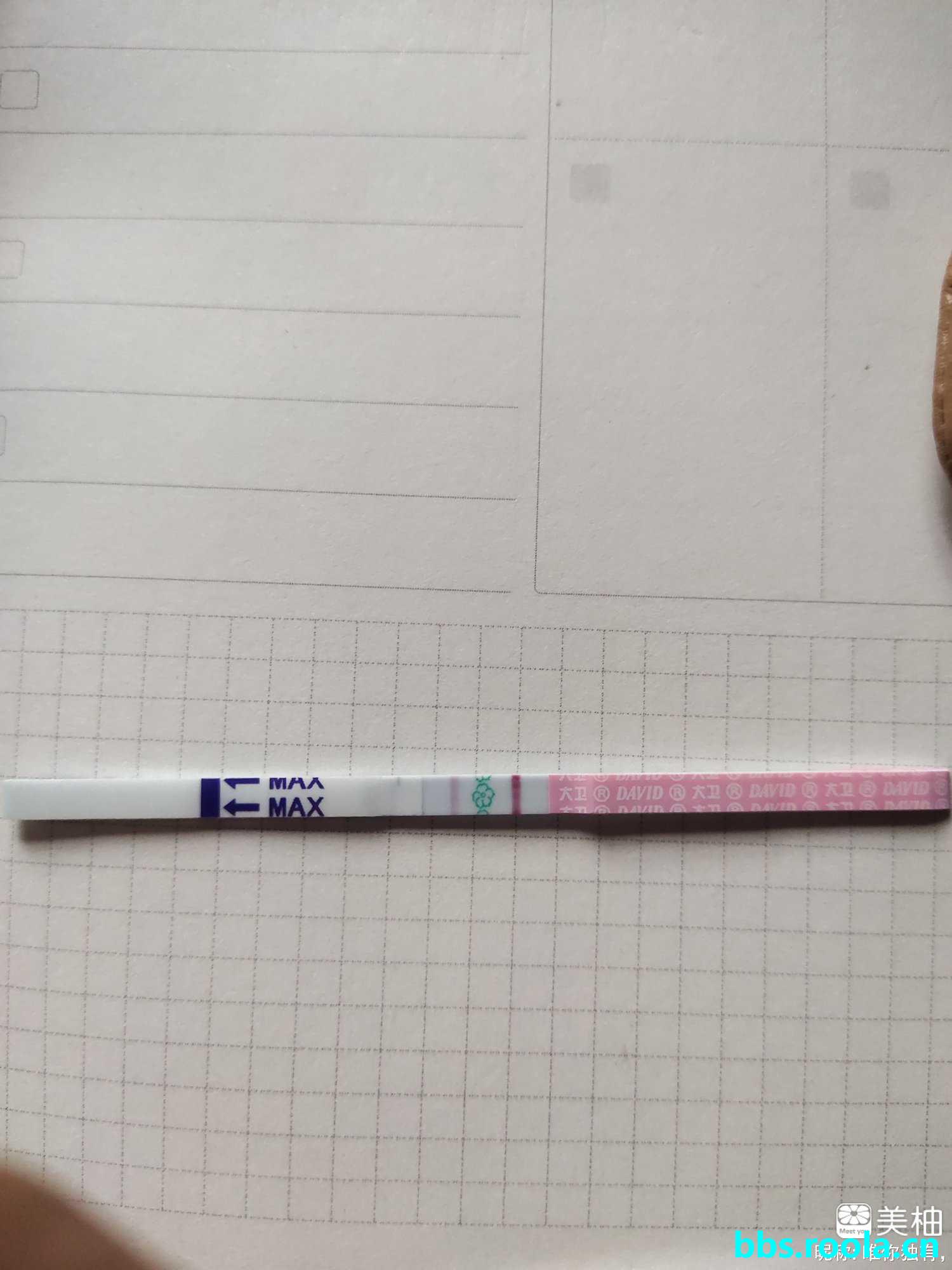 7864.jpg