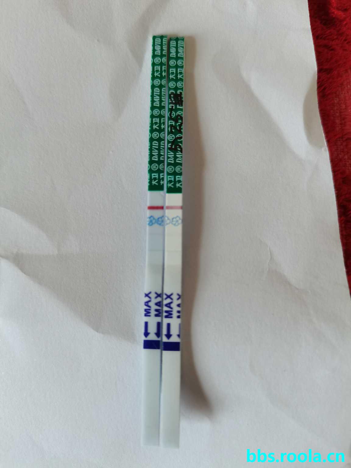 7904.jpg