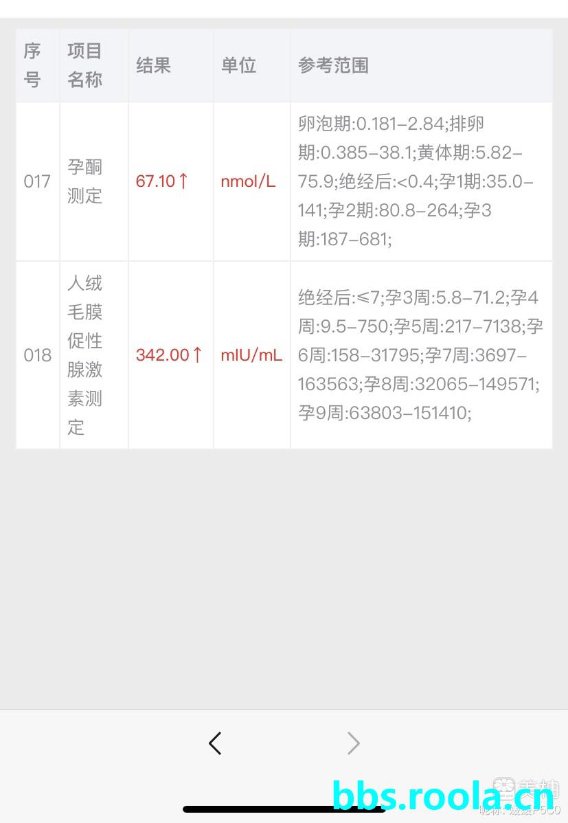 7902.jpg