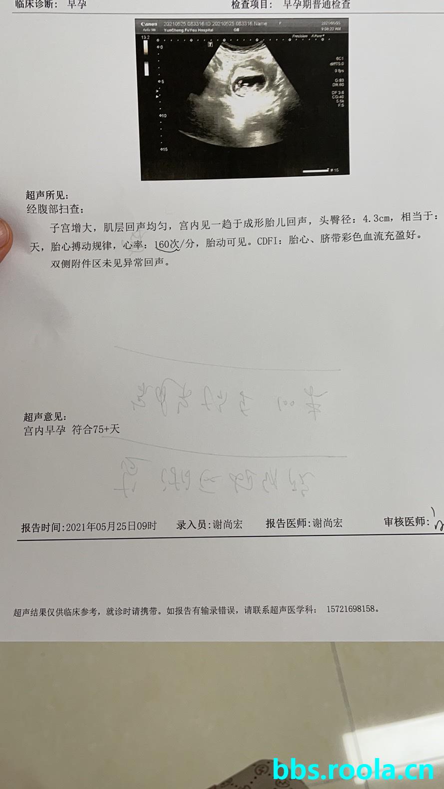 8106.jpg