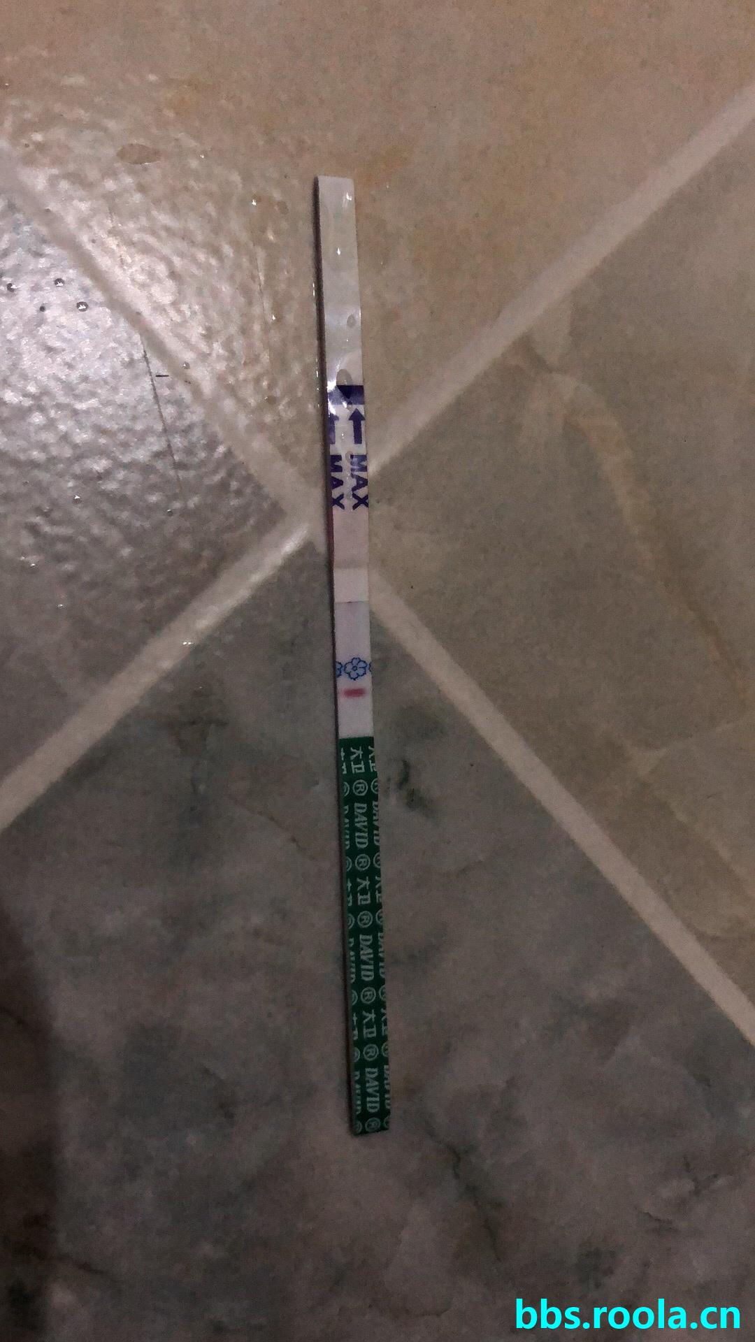 8143.jpg