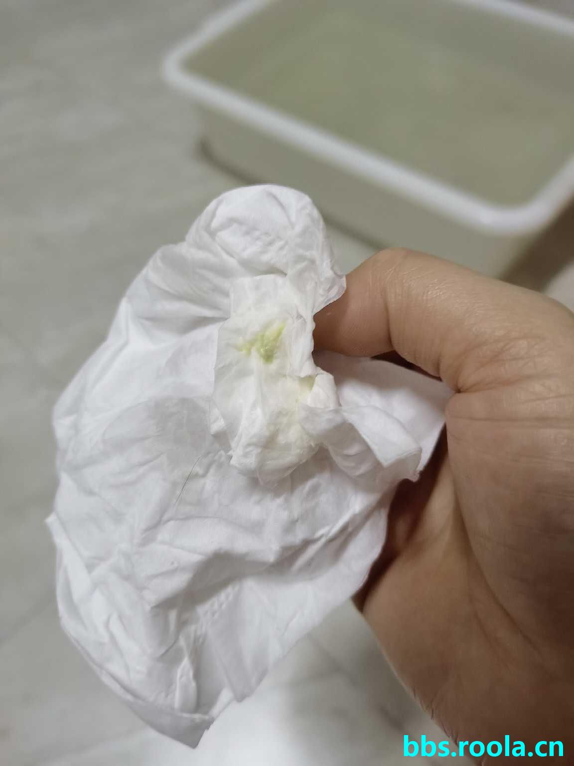 8204.jpg