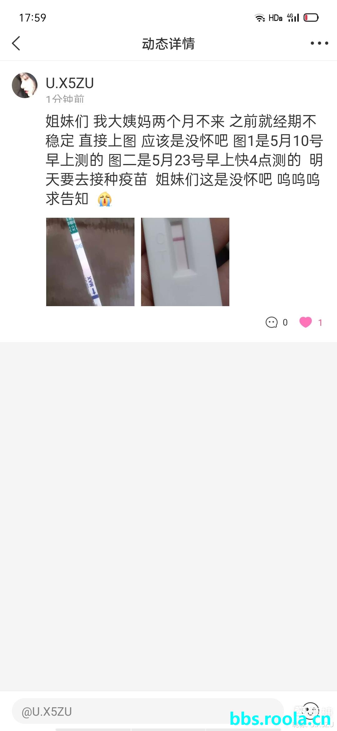 8282.jpg