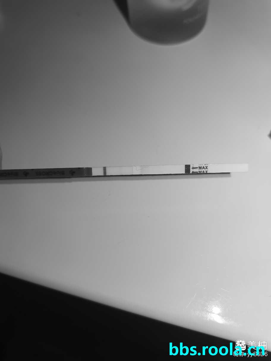 8451.jpg