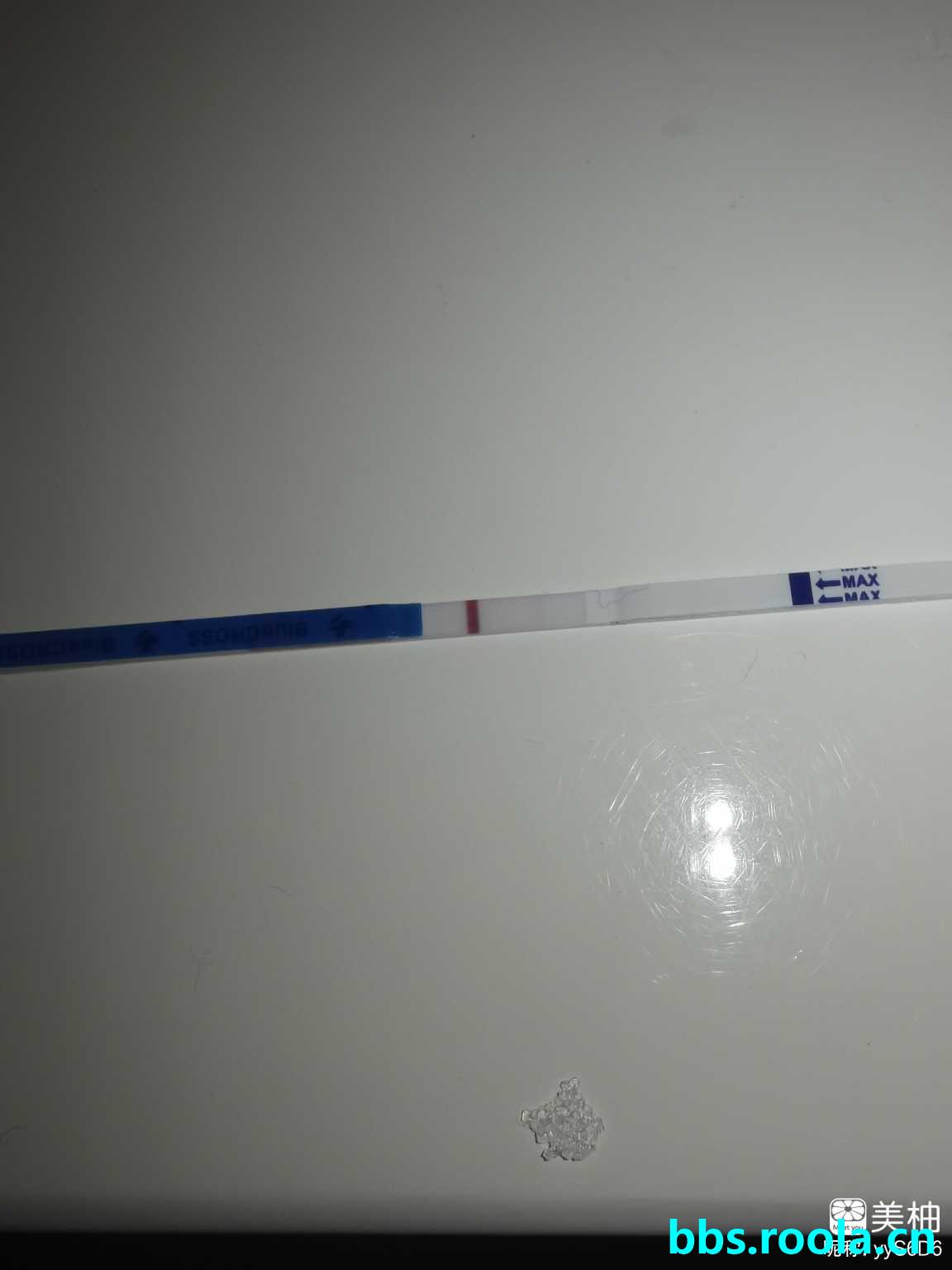 8453.jpg