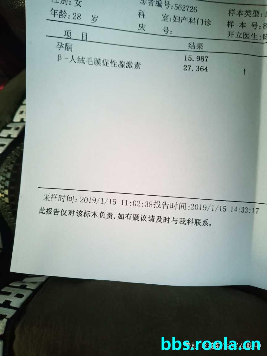 8046.jpg