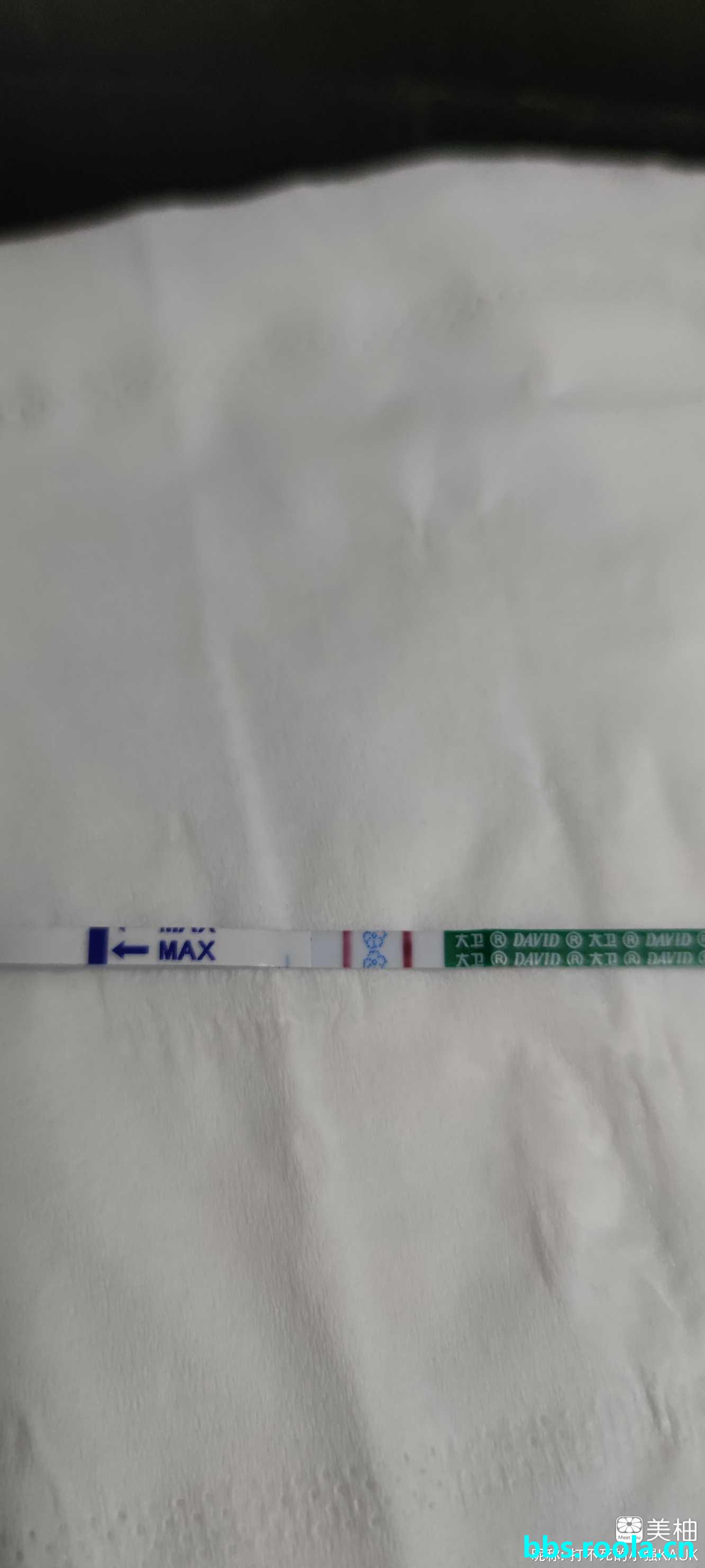 10181.jpg