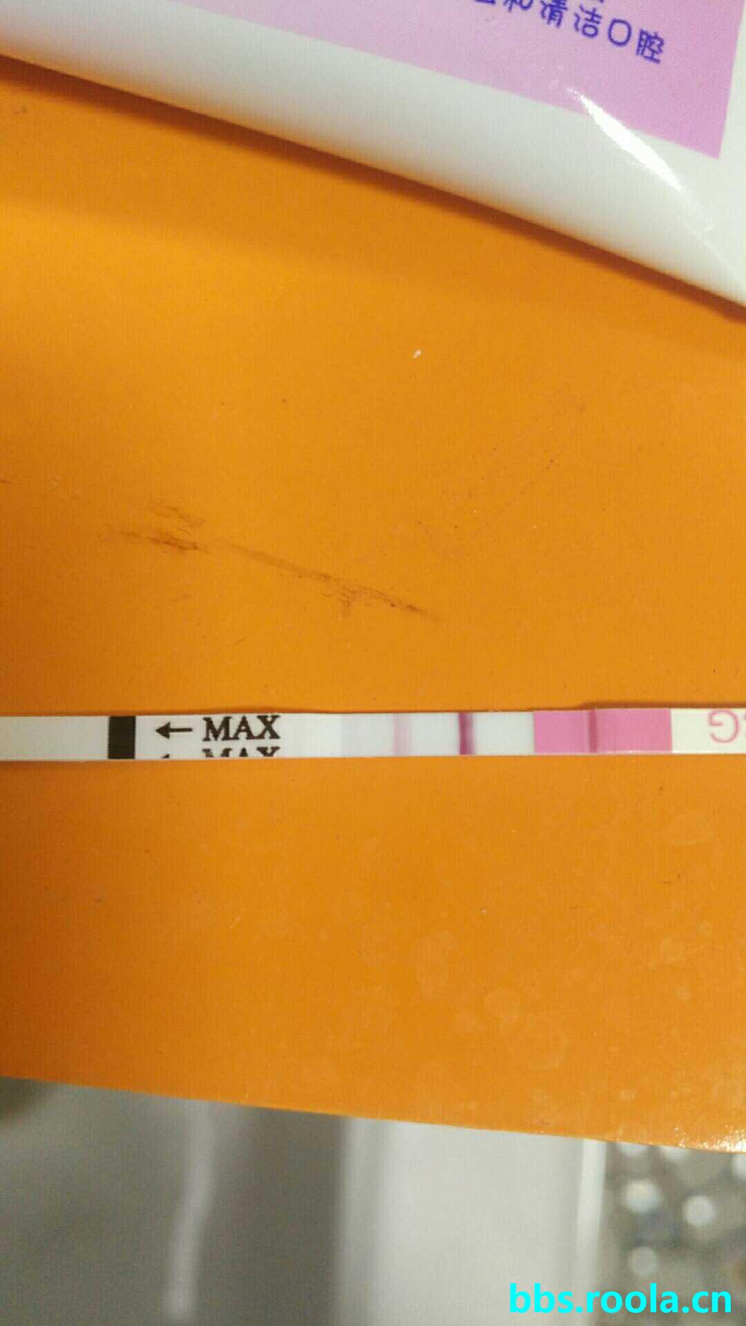 10230.jpg