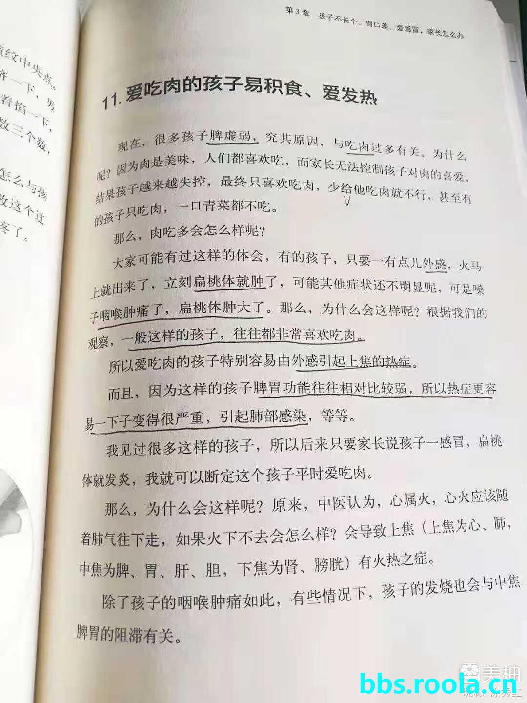 10232.jpg