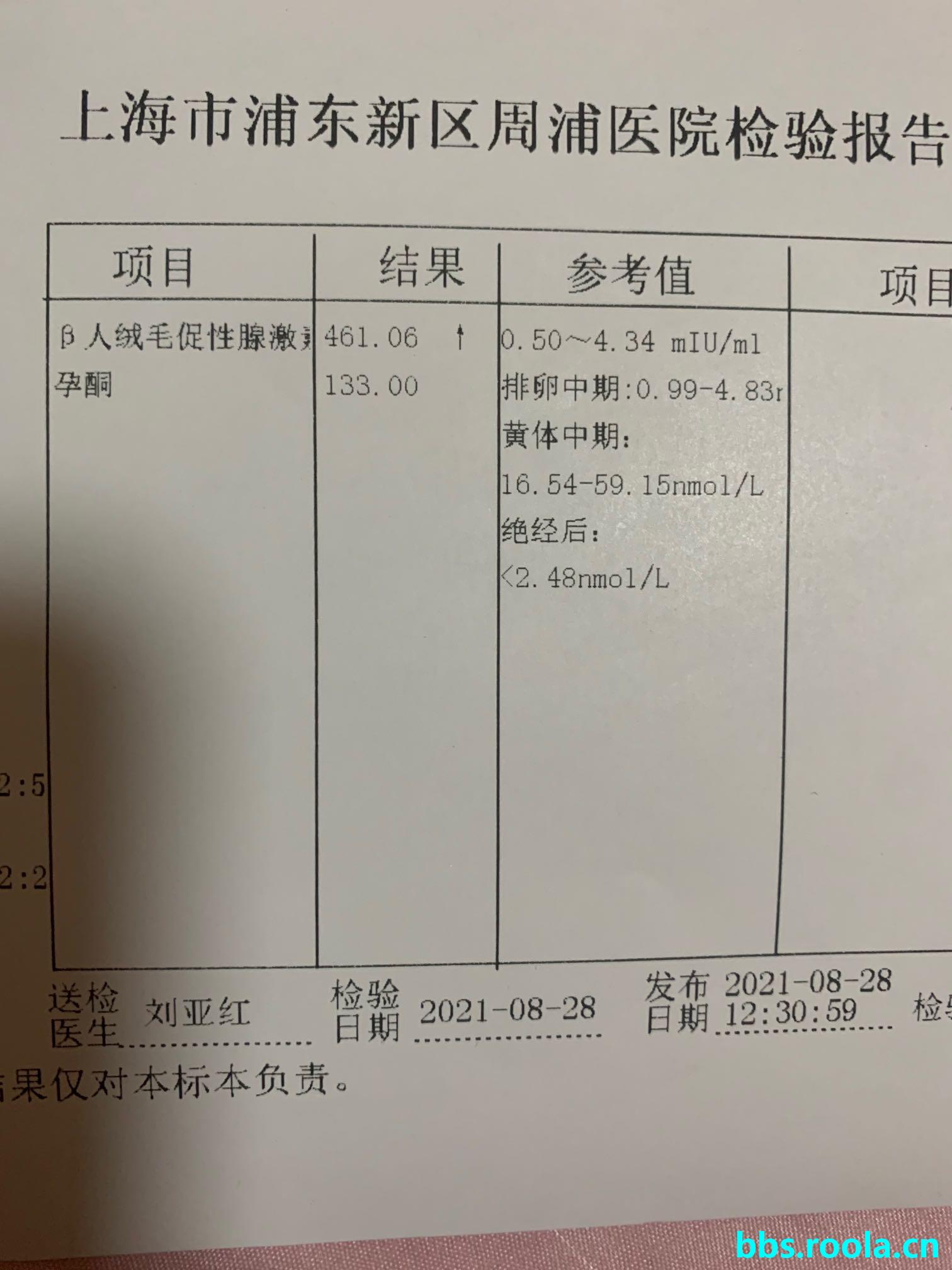 10282.jpg