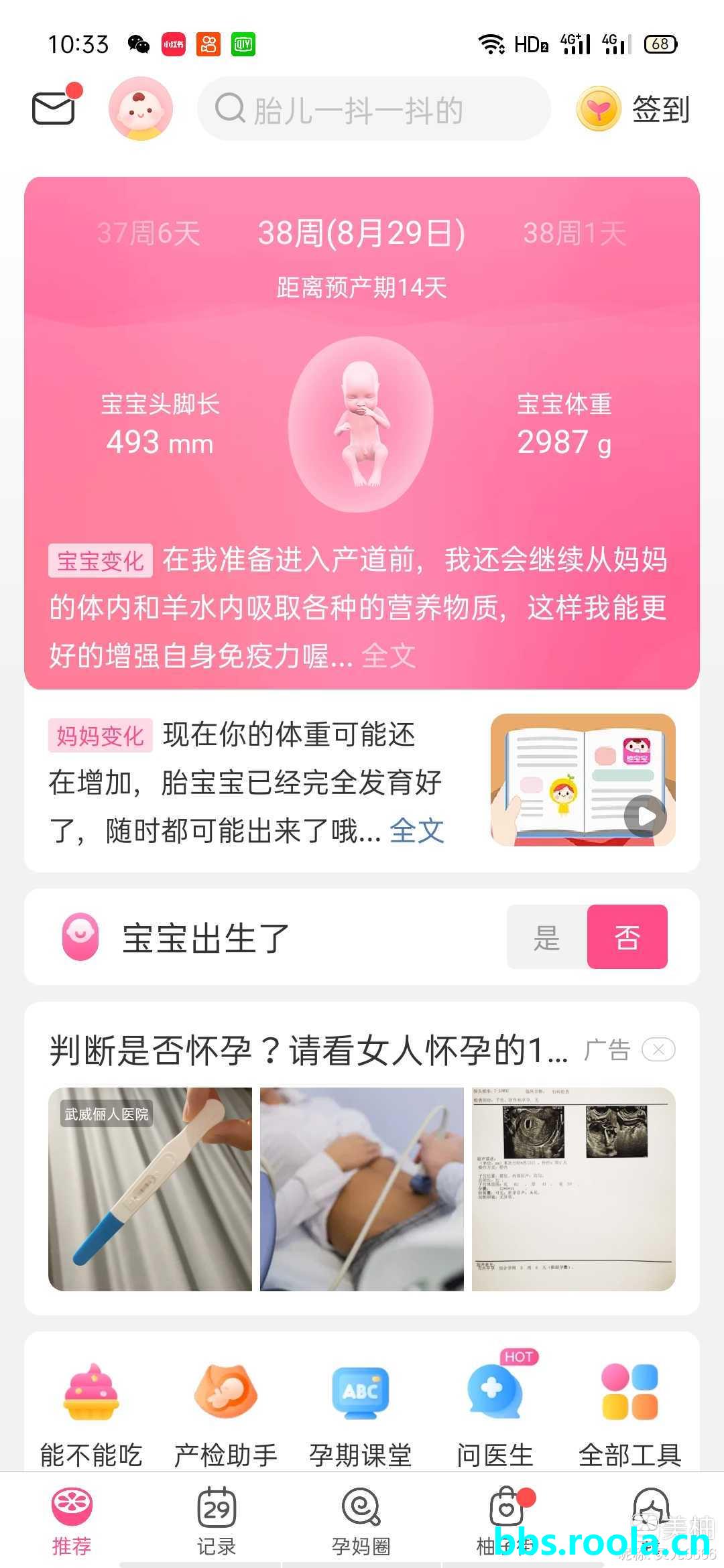 10304.jpg