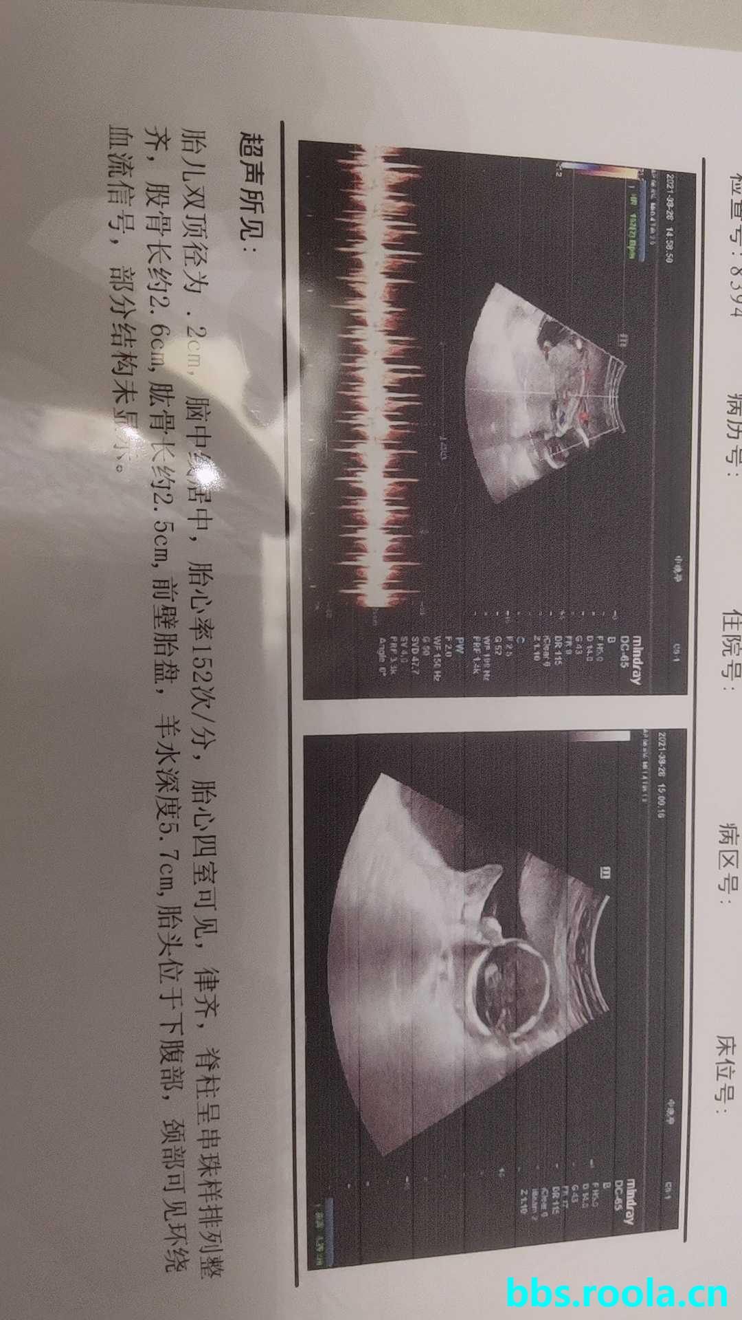 10610.jpg