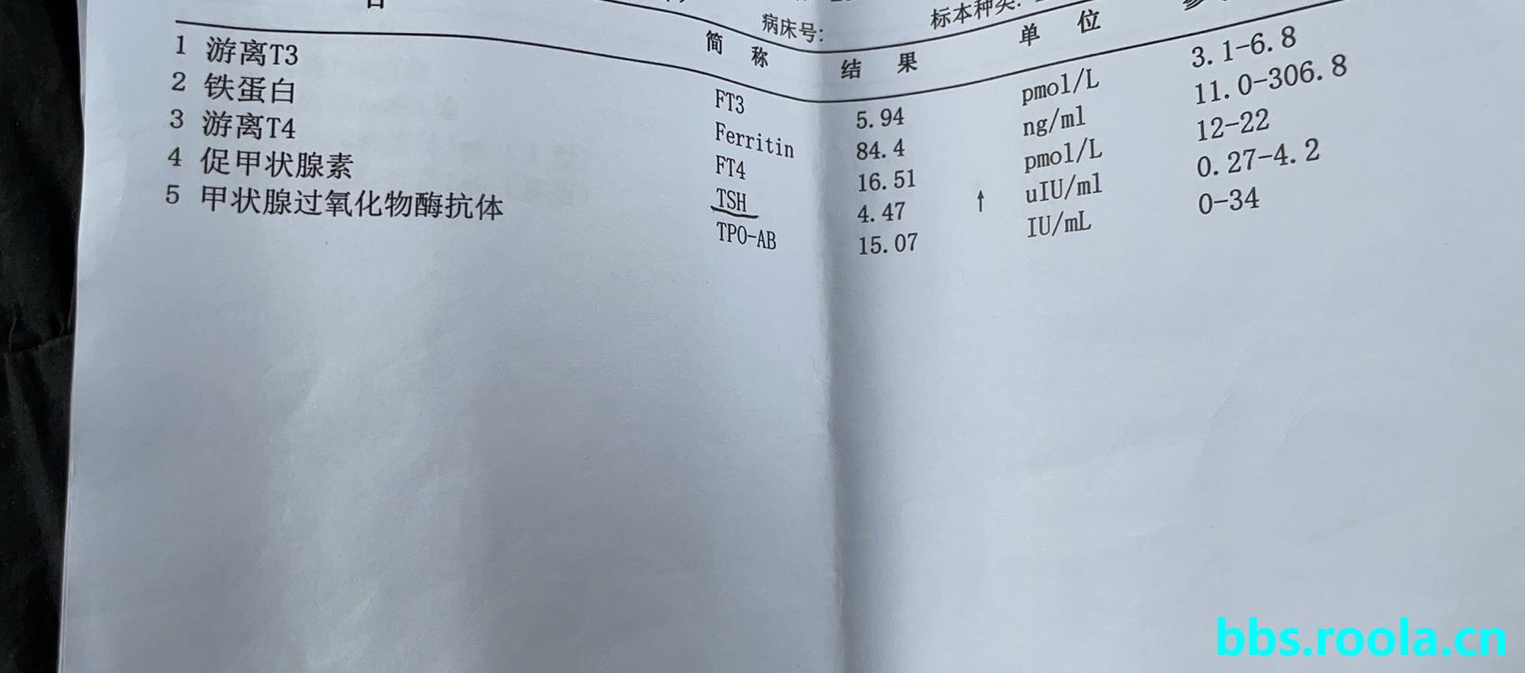 10693.jpg