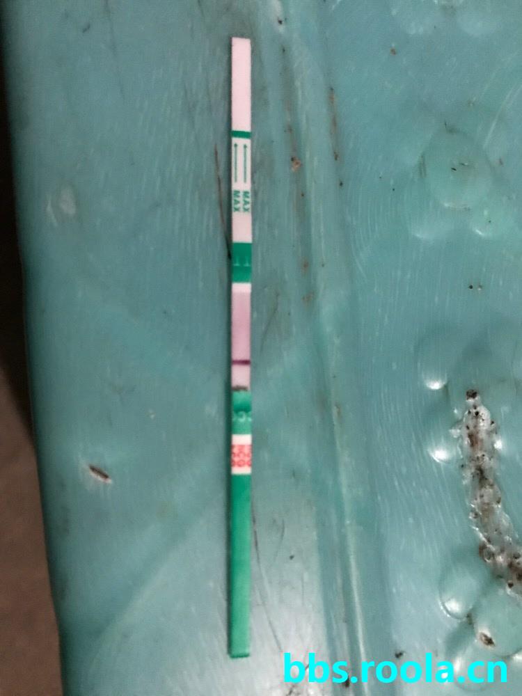10728.jpg