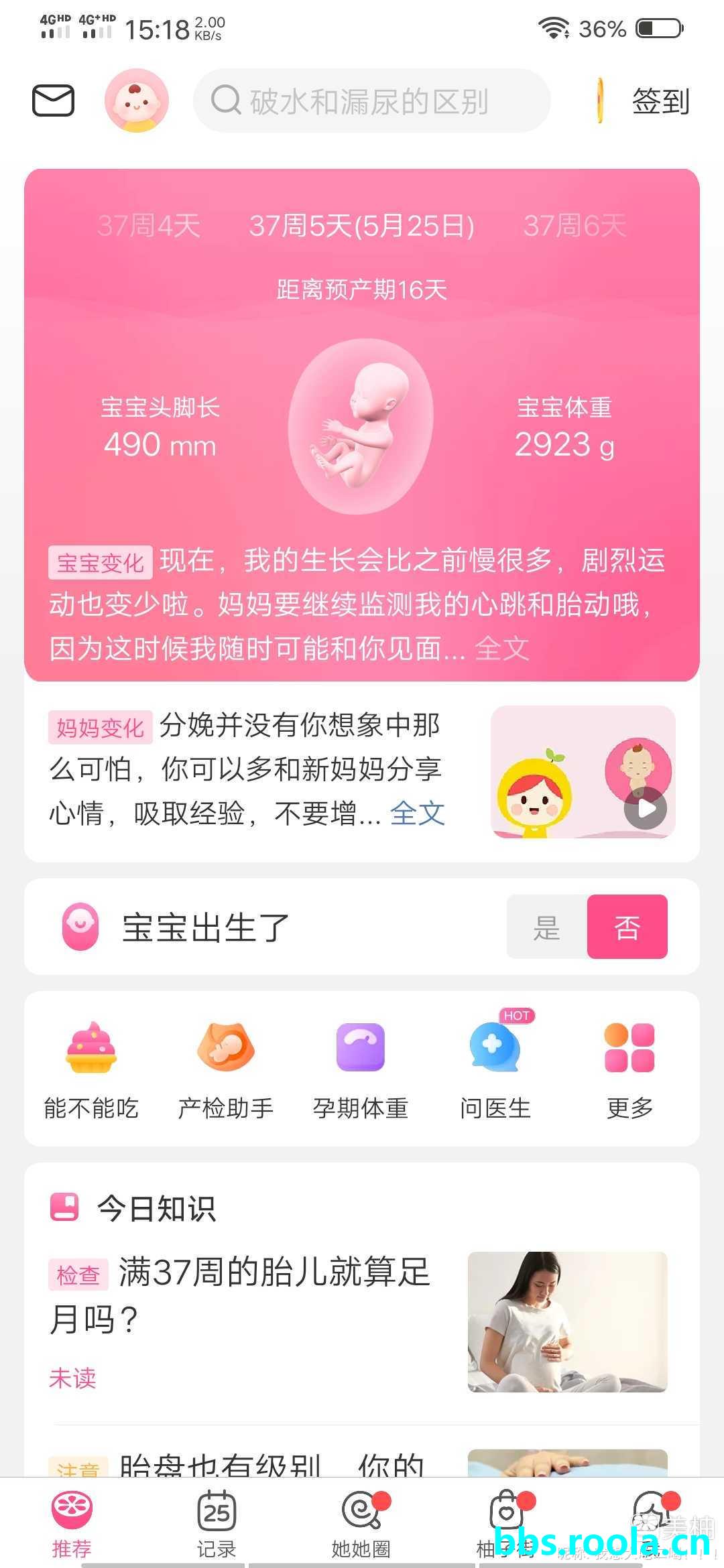 12378.jpg