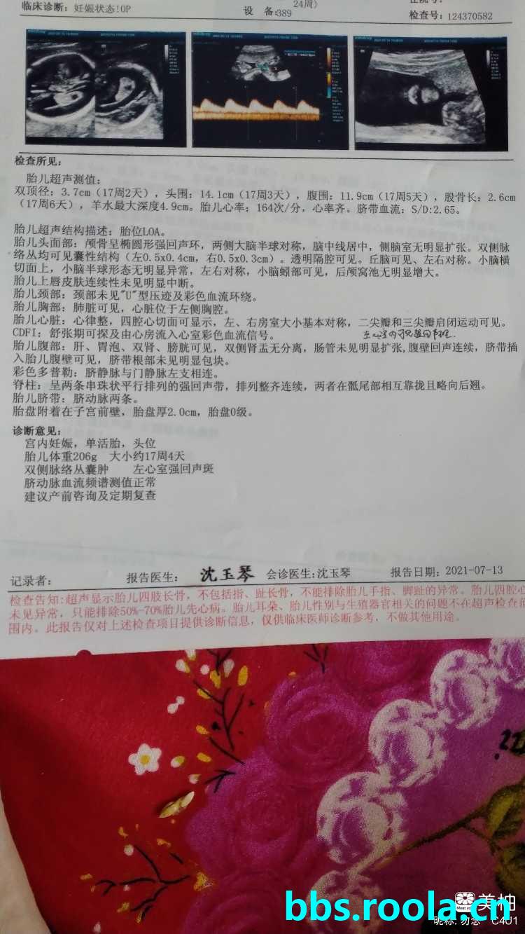13204.jpg