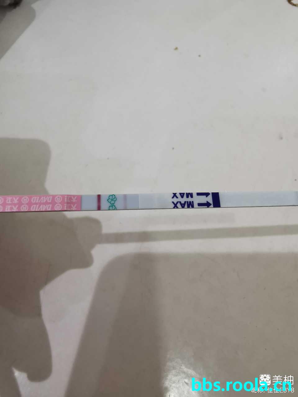 12453.jpg