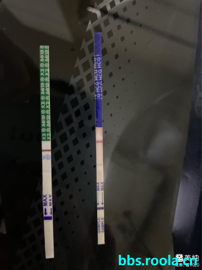 12551.jpg
