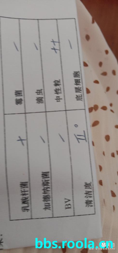 13408.jpg