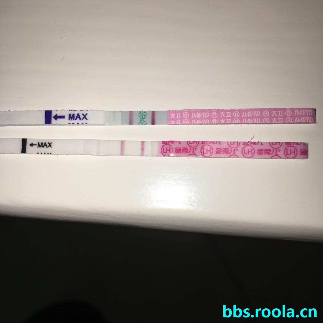 11130.jpg