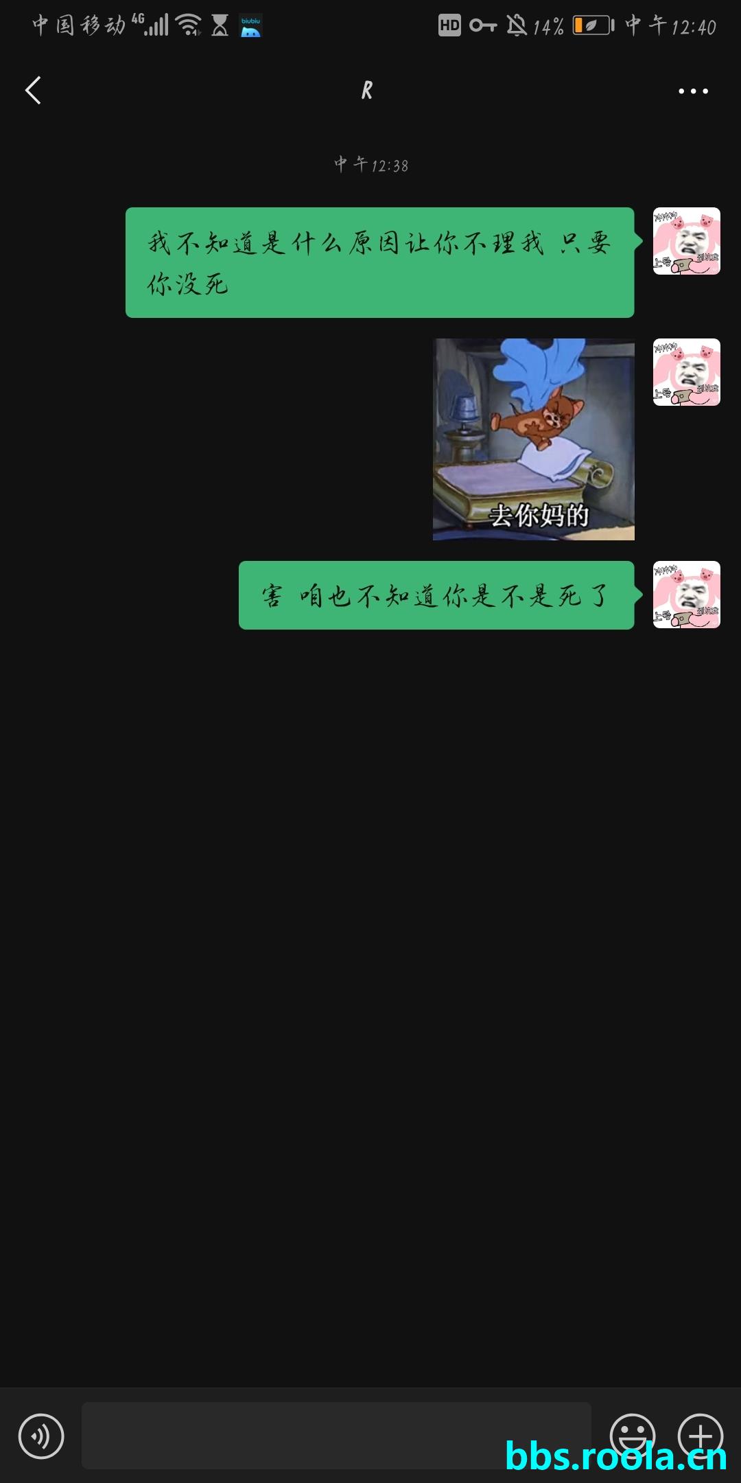 13731.jpg