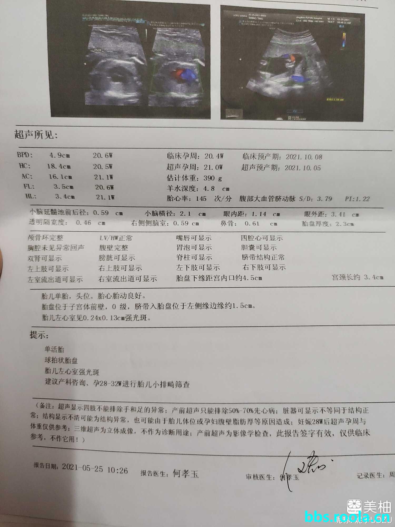 13092.jpg