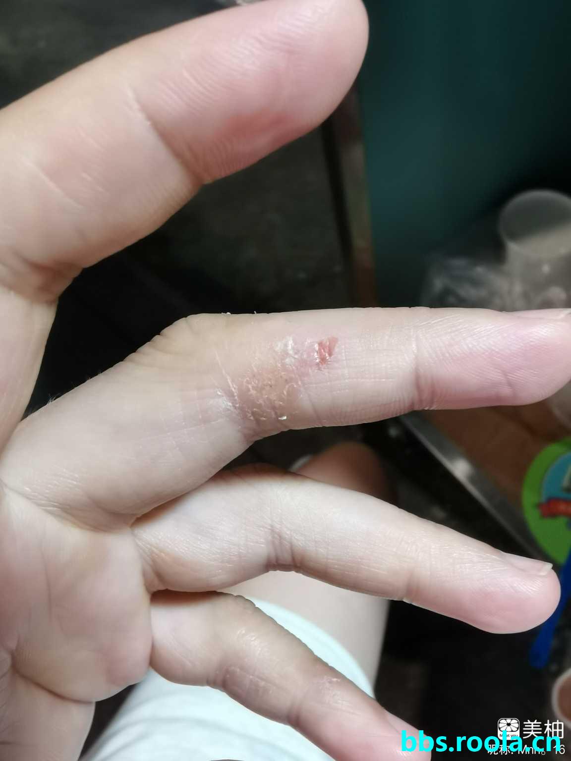 13083.jpg