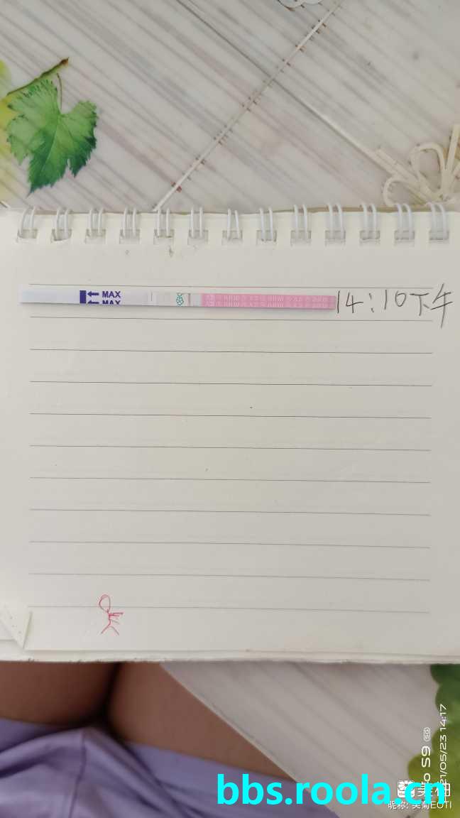 2189.jpg