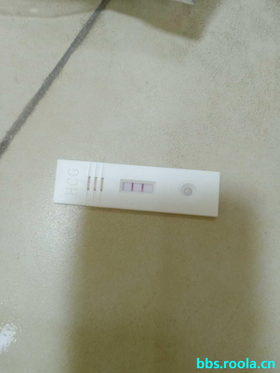 2250.jpg