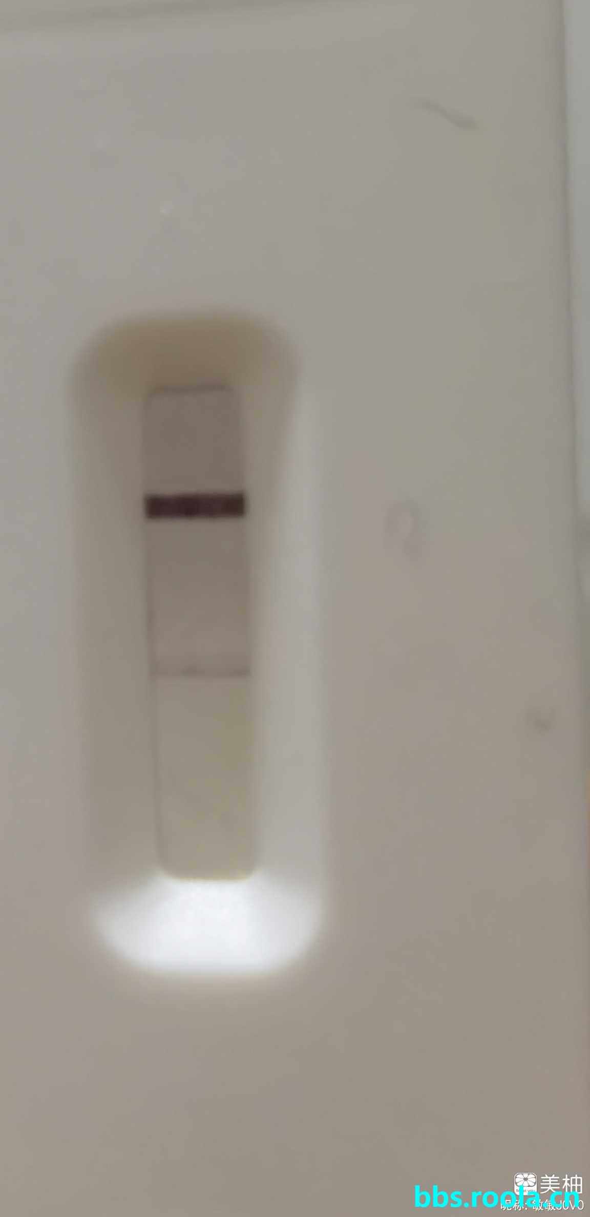 2251.jpg