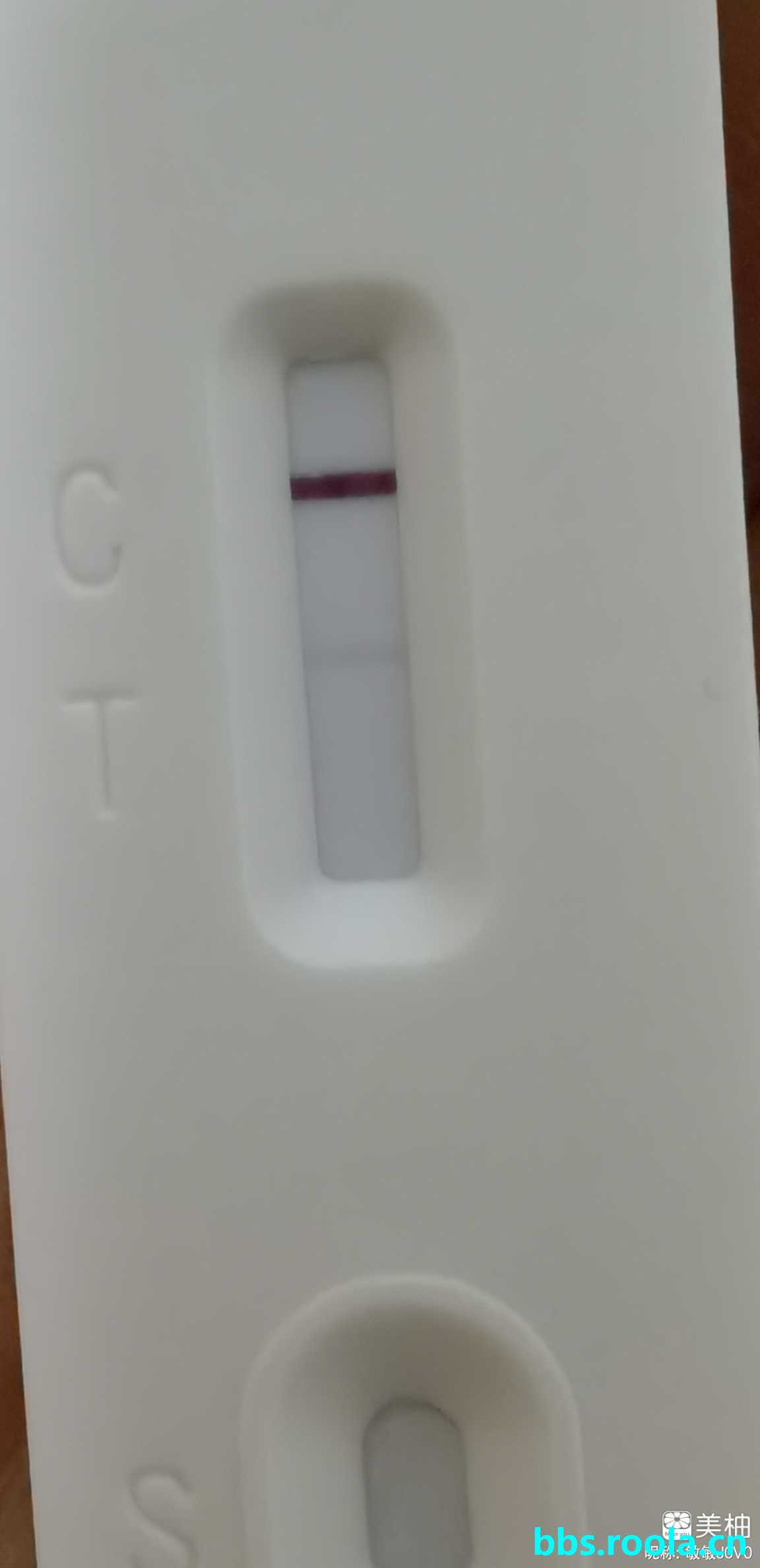 2252.jpg