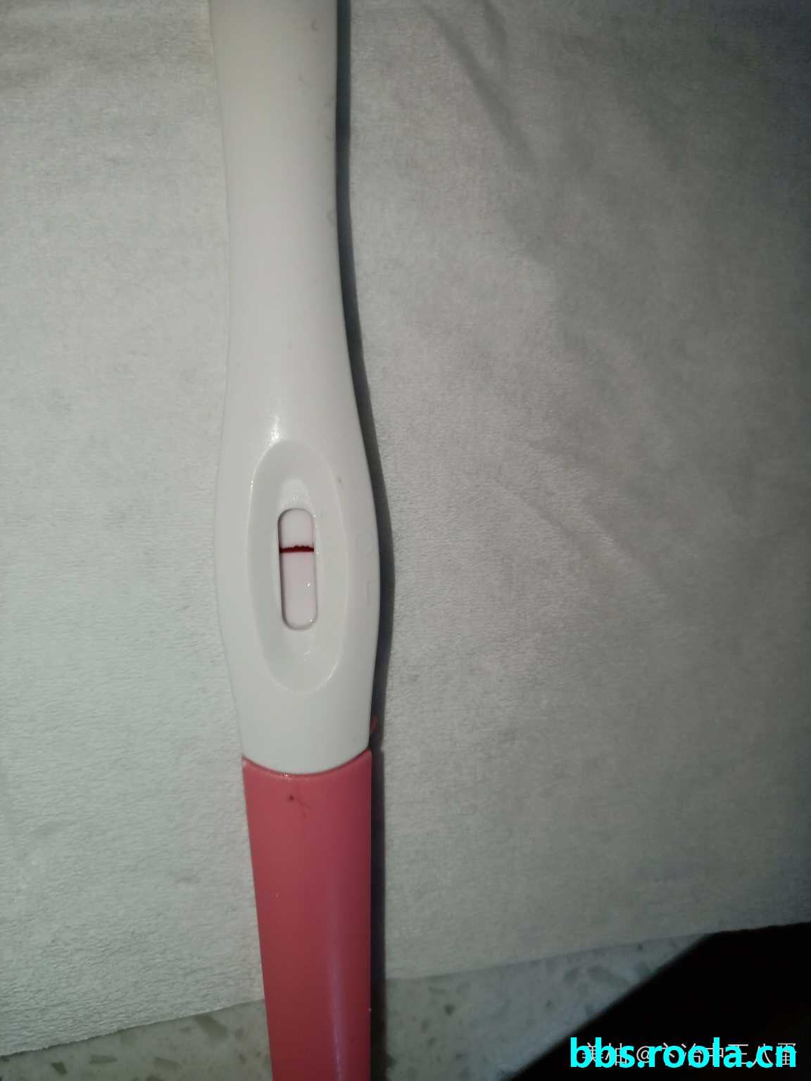 719.jpg
