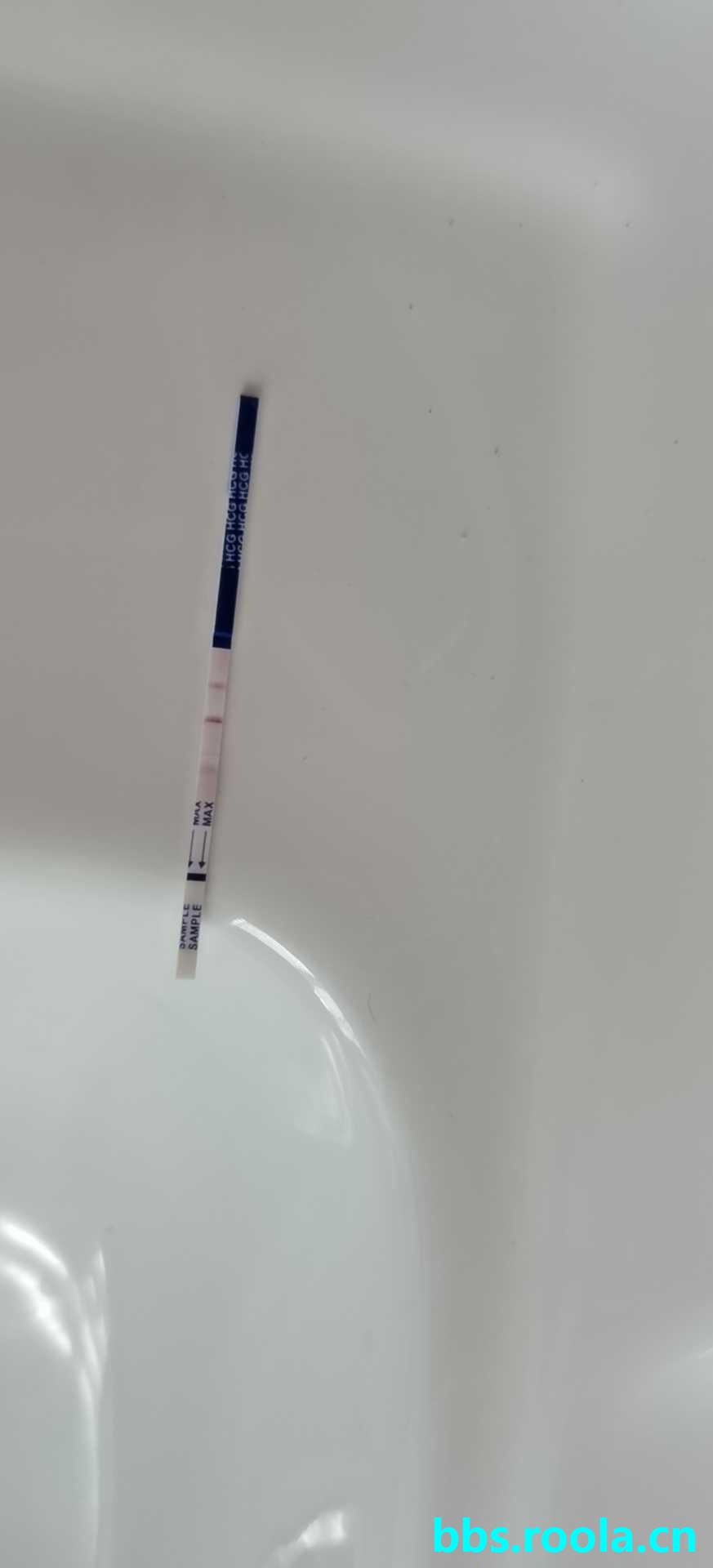 2505.jpg