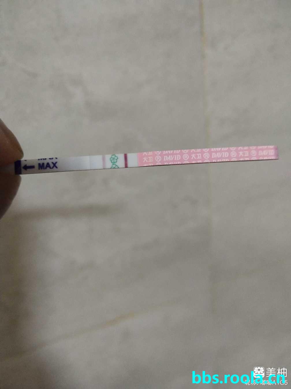 2612.jpg