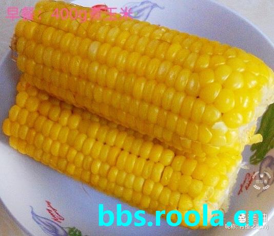2804.jpg