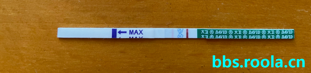 2861.jpg