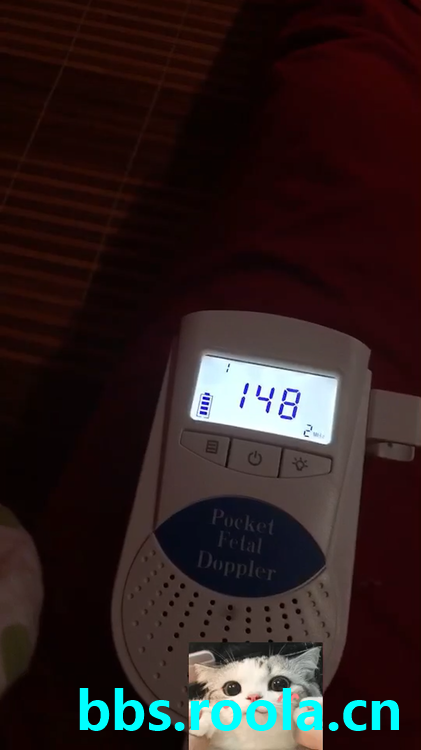 3286.jpg