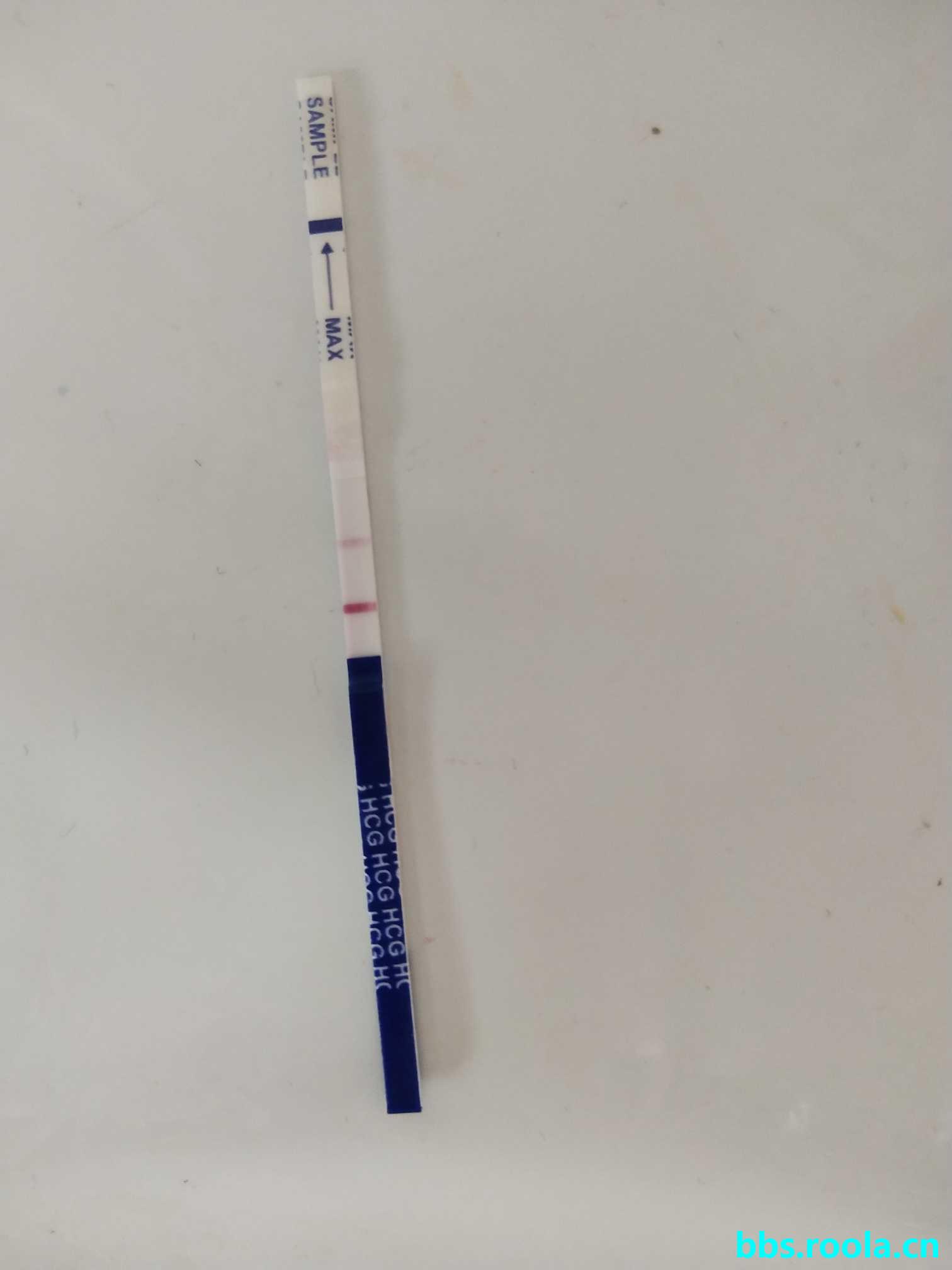 4982.jpg