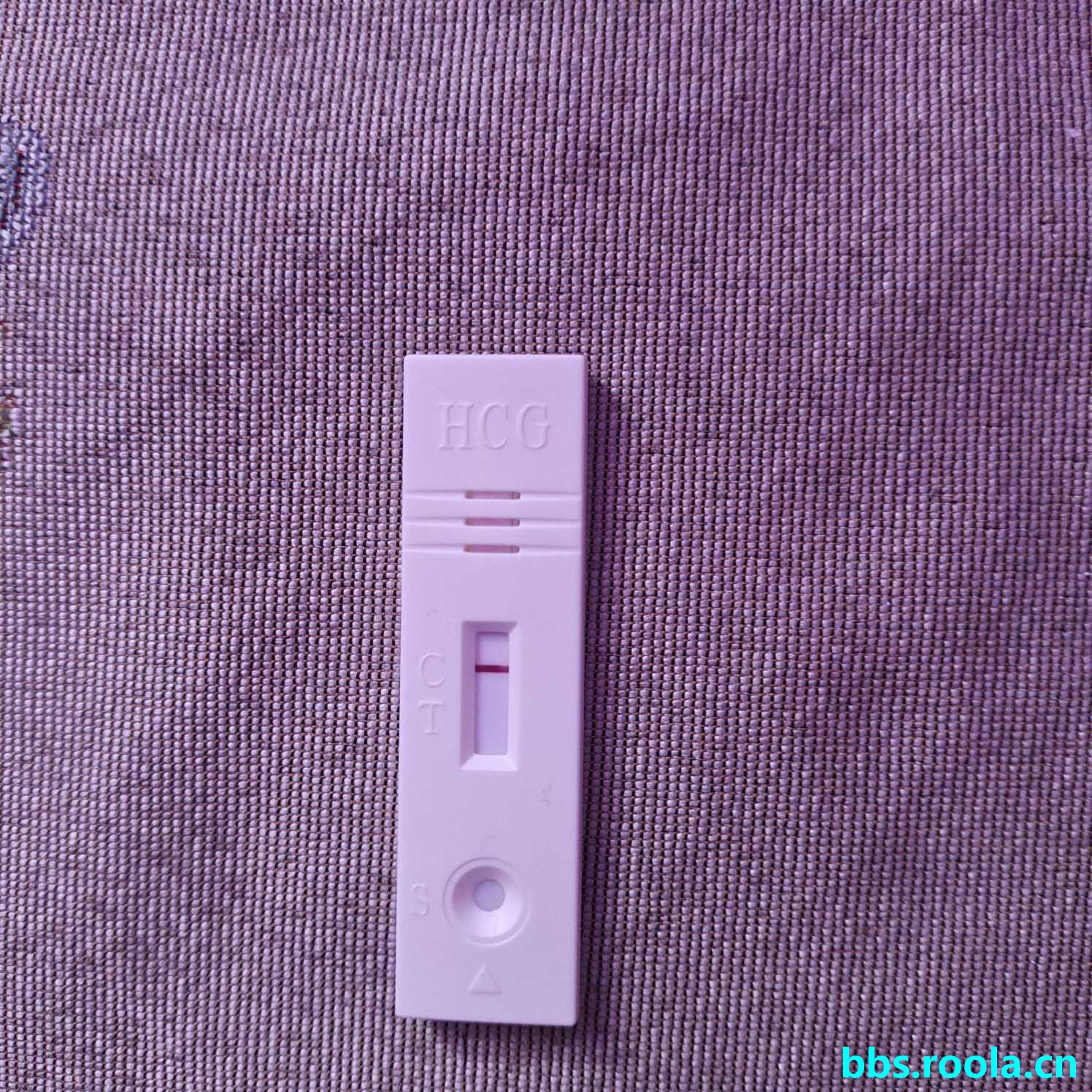 5203.jpg