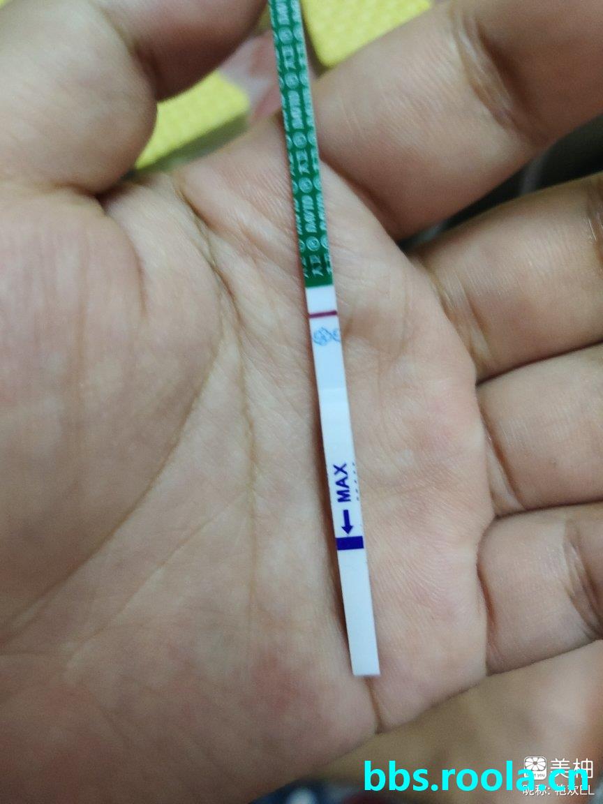 6884.jpg