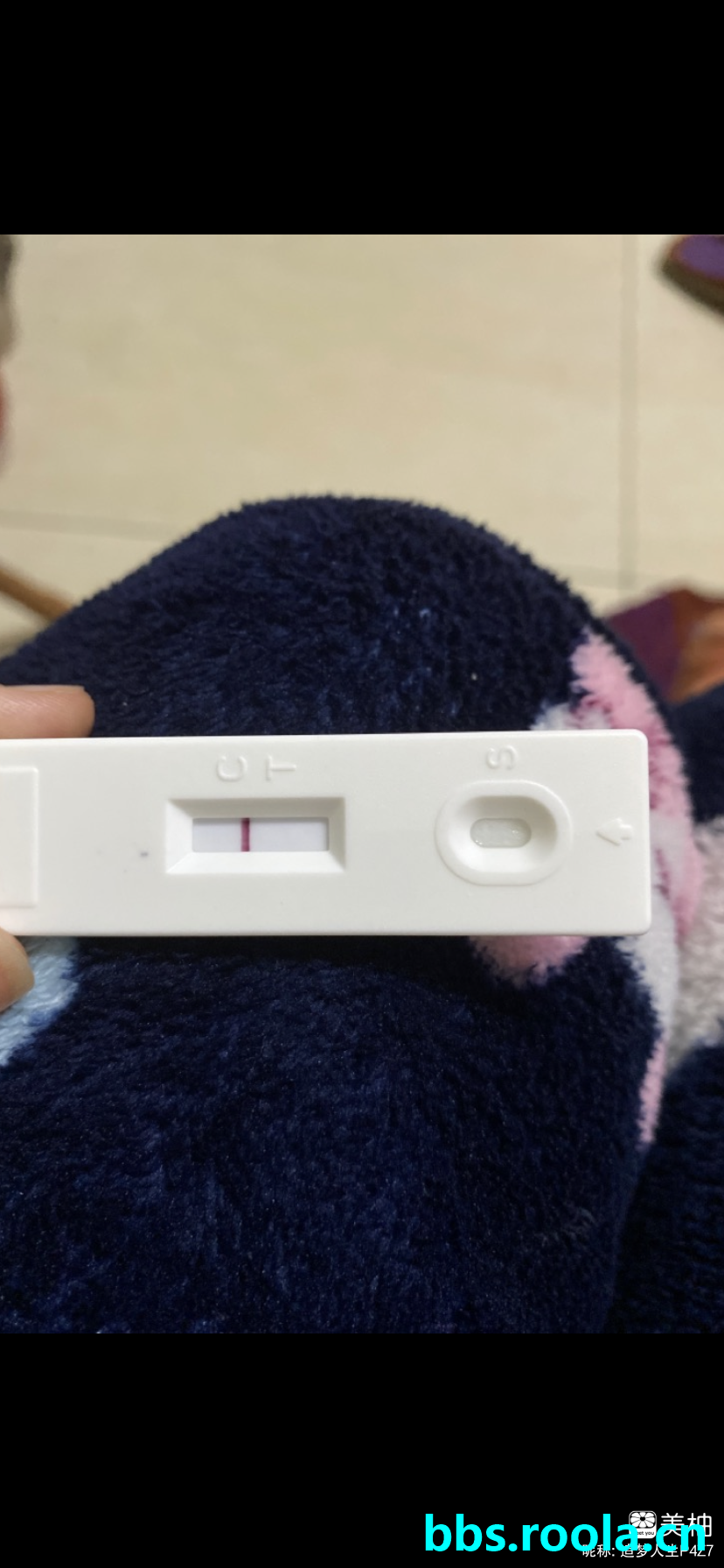 6882.jpg