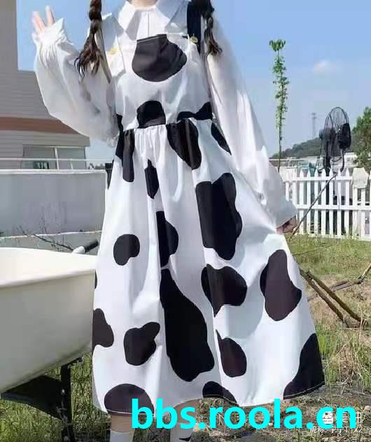 6905.jpg